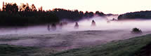   Foggy Sunrise Near Itasca State Park, MN