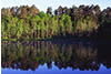  Lake Reflections, Itasca State Park, MN