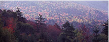 Fall Panorama on the Kancamagus Highway, NH 