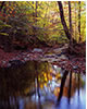  Fall Reflections on a River, NH