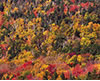 Beaver Pond Hillside, NH 