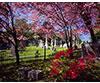 Hollywood Cemetery in Spring, Richmond, VA