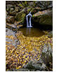 Downriver from Dark Hollow Falls in Fall, Shenandoah National Park, VA