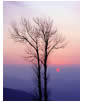 Setting Sun on Skyline Drive, Shenandoah National Park, VA