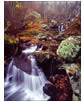 Rose River in Fall, Shenandoah National Park, VA