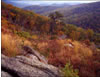 Fall Morning on the Skyline Drive, Shenandoah National Park, VA