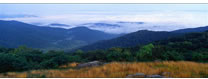 Early Morning on the Skyline Drive, Shenandoah National Park, VA