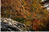 Early Snow on Fall on Skyline Drive, Shenandoah National Park, VA