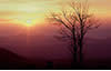 Approaching Sunset on Skyline Drive, Shenandoah National Park, VA