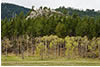 Black Hills Landscape in Spring, SD 