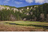 Spearfish Canyon in Spring, Black Hills, SD