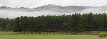 Black Hills Panorama with Fog, SD 