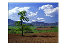 Burke's Garden in Early Spring, Tazewell County, VA