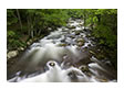 Little Stoney Creek in Spring, Jefferson National Forest, VA