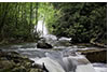 After the Spring Rains, the Cascades and Little Stoney Creek, VA