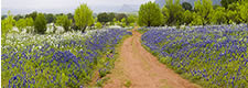  Willow City Loop Panorama, Hill Country, TX