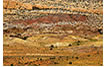 Multi-color Hillside at Arches National Park, UT