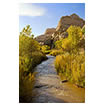 Freemont River, Capitol Reef National Park, UT