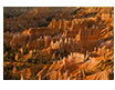 Early Light from Sunrise Point, Bryce Canyon National Park, UT