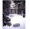 Benches in the Snow, UVA