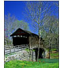 Humpback Bridge in Early Spring, VA