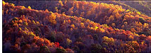 Fall in George Washington National Forest, VA