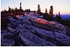 Last Light on Bear Rocks, Dolly Sods Wilderness Area, West VA