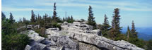 Early Spring at Dolly Sods, WVA