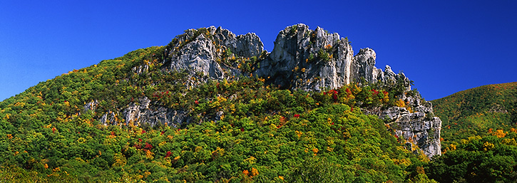  Fall Panorama at Seneca Rocks, West Virginia